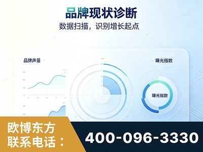 北京-品牌现状诊断